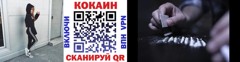 Купить закладки  Киселёвск  Кокаин Fish Scale 