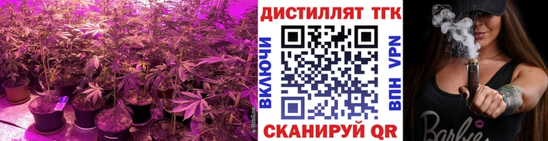 Дистиллят ТГК жижа  Купить закладки  Киселёвск 
