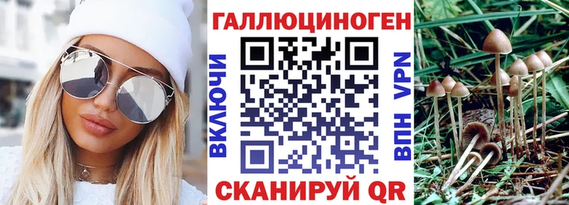 Галлюциногенные грибы Cubensis  Купить закладки  Киселёвск 